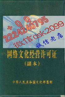 網(wǎng)絡(luò)文化經(jīng)營(yíng)許可證 數(shù)字內(nèi)容產(chǎn)業(yè)的通行證與規(guī)范樣本